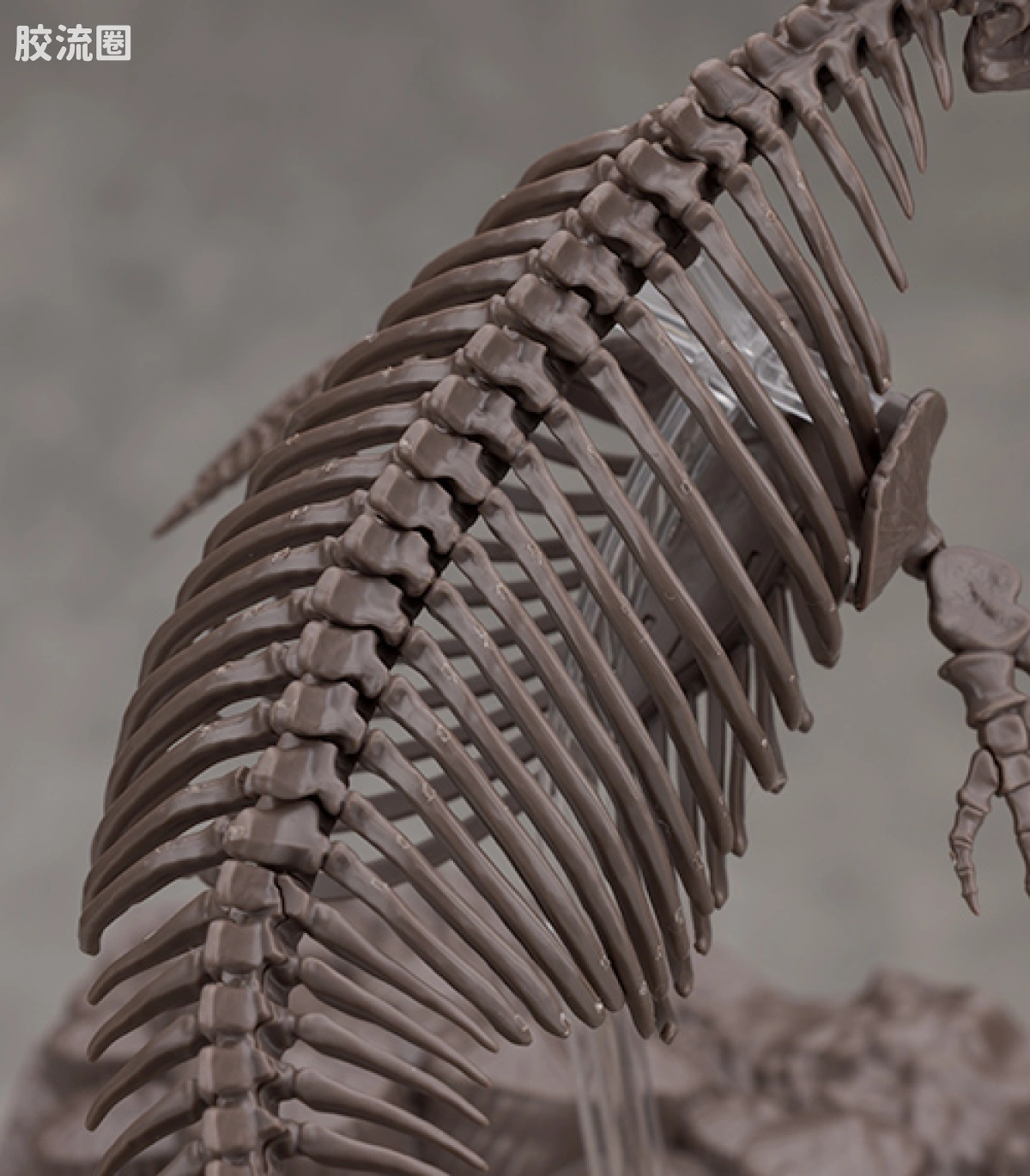 万代综合拼装模型系列 Imaginary Skeleton系列 沧龙 - 图片